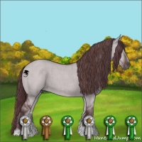 Horse Color:Chocolate Grullo Chinchilla Brindle
