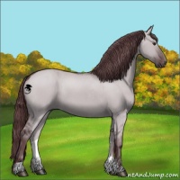 Horse Color:Chocolate Grullo Chinchilla 