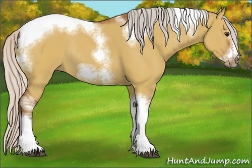 Horse Color:Silver Bay Dun Sabino Tobiano Frame Rabicano 