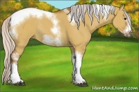 Horse Color:Silver Bay Dun Sabino Tobiano Frame Rabicano