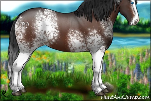 Horse Color:White Spotted Brown Splash 