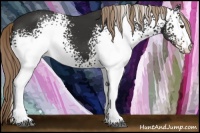 Horse Color:White Spotted Liver Chestnut