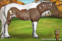 Horse Color:White Spotted Silver Brown Tobiano 