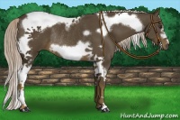 Horse Color:Chocolate Palomino Tobiano Frame Rabicano 