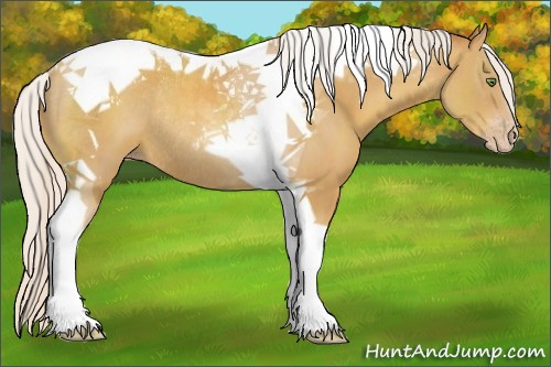 Horse Color:Silver Classic Champagne Tobiano Rabicano