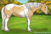 Horse Color:Silver Classic Champagne Tobiano Rabicano