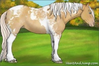 Horse Color:Silver Classic Champagne Tobiano Rabicano