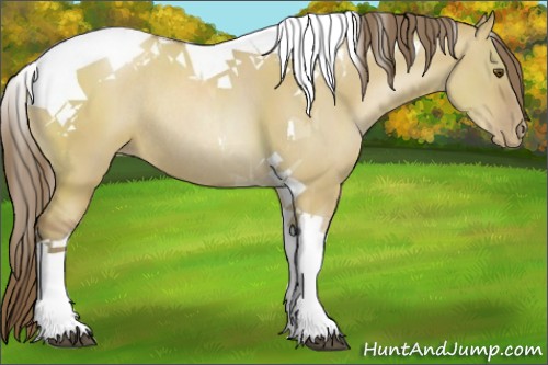 Horse Color:Grullo Pearl Tobiano Rabicano 