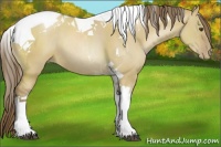 Horse Color:Grullo Pearl Tobiano Rabicano