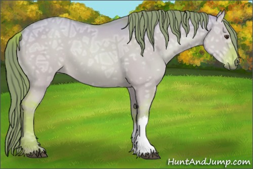 Horse Color:Watercolor Red Dun Ice