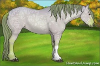 Horse Color:Watercolor Red Dun Ice 