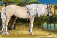 Horse Color:Silver Buckskin Pearl 