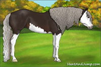 Horse Color:Gray Silver Brown Splash 
