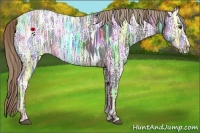 Horse Color:Liver Chestnut Ice 