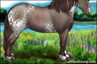 Horse Color:White Spotted Chocolate Black