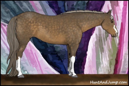 Horse Color:Chocolate Palomino 