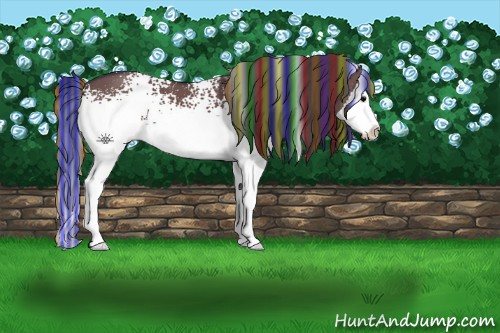 Horse Color:Painted White Spotted Grullo Splash 