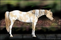 Horse Color:White Spotted Red Dun Pearl 