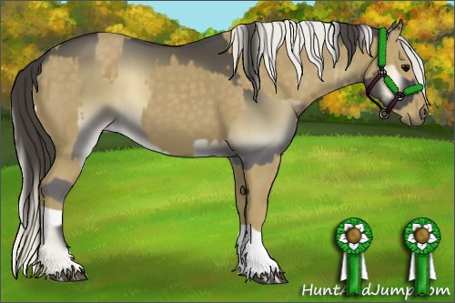 Horse Color:Smoky Blue Onyx and Silver Smoky Black
