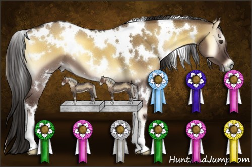 Horse Color:White Spotted Liver Red Dun Onyx