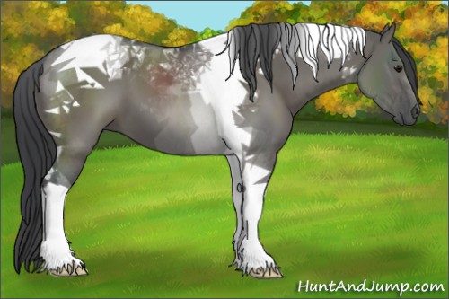 Horse Color:Grullo Tobiano