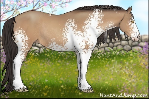 Horse Color:White Spotted Amber Champagne Rabicano