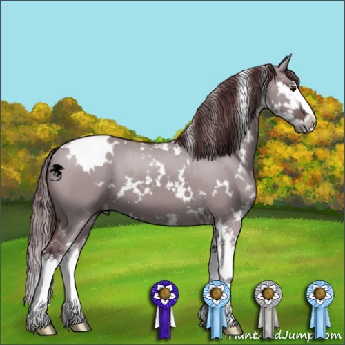 Horse Color:White Spotted Chocolate Grullo Chinchilla Splash 