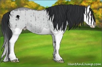 Horse Color:Classic Champagne Chinchilla Dun Splash 