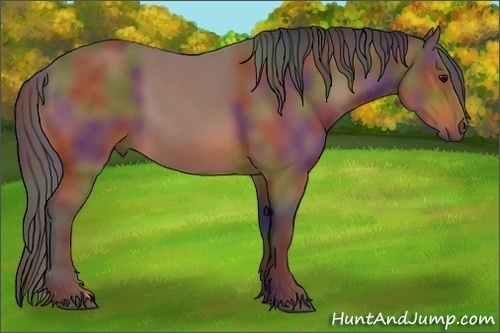 Horse Color:Nacre Bay 