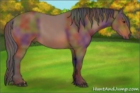 Horse Color:Nacre Bay 