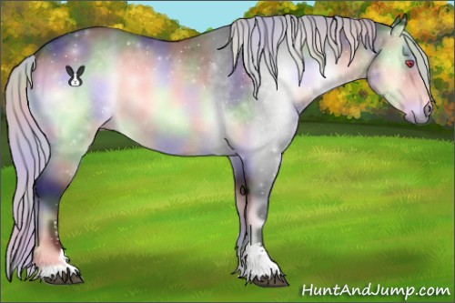 Horse Color:Nacre Silver Brown Chinchilla Onyx Sabino 