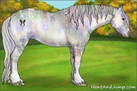 Horse Color:Nacre Silver Blue Onyx Chinchilla Ice Sabino