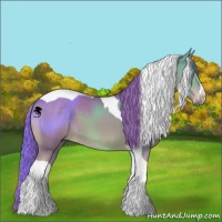 Horse Color:Watercolor Chestnut Tobiano 