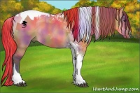 Horse Color:Nacre Bay Dun Tobiano 