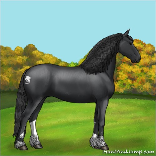 Horse Color:Black Sabino
