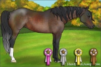 Horse Color:Brown 