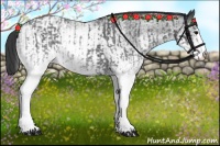 Horse Color:White Spotted Blue Roan Rabicano  and White Spotted Blue Roan Blanket Rabicano 