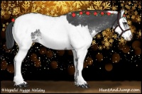 Horse Color:White Spotted Blue Roan Rabicano  and White Spotted Blue Roan Rabicano 