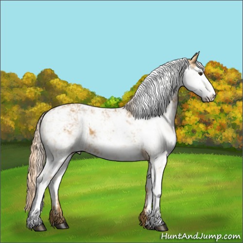 Horse Color:Palomino Sabino