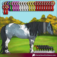 Horse Color:Brown Chinchilla Dun Tobiano Brindle 