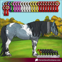 Horse Color:Brown Chinchilla Dun Tobiano Brindle 