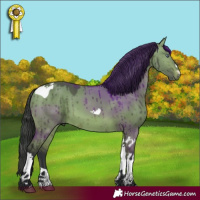 Horse Color:Bay Chinchilla Dun Tobiano Brindle 