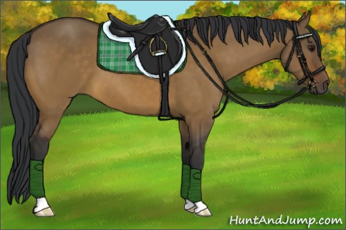 Horse Color:Brown Dun 