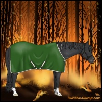 Horse Color:Black Near Leopard
