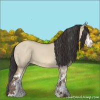 Horse Color:Sable Champagne Dun Sabino 
