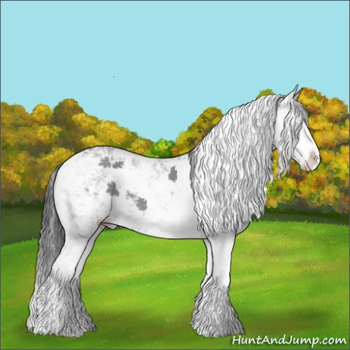 Horse Color:Sable Champagne Chinchilla Sabino 