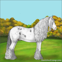 Horse Color:Sable Champagne Chinchilla Sabino 
