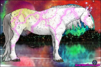 Horse Color:White Spotted Blue Roan Splash Frame Appaloosa 