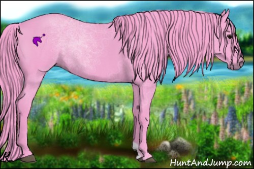 Horse Color:Watercolor Blue Roan Rabicano 