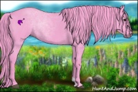 Horse Color:Watercolor Blue Roan Rabicano 